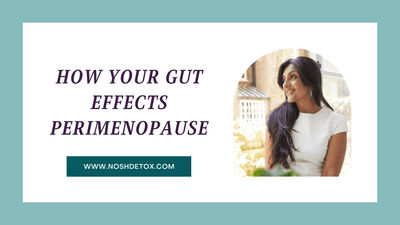 How Your Gut Effects Perimenopause